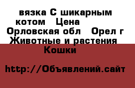 вязка С шикарным котом › Цена ­ 1 500 - Орловская обл., Орел г. Животные и растения » Кошки   